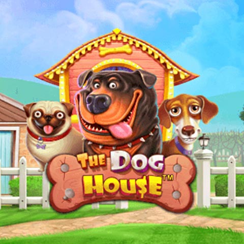 The Dog House